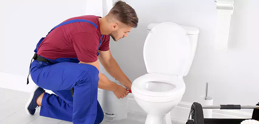 Scope of Bathroom Toilet Bowl Replacement Services in Marion, IN