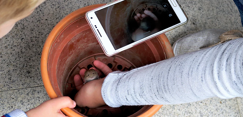 Scope of Drain Camera Inspection Services in Marion, IN