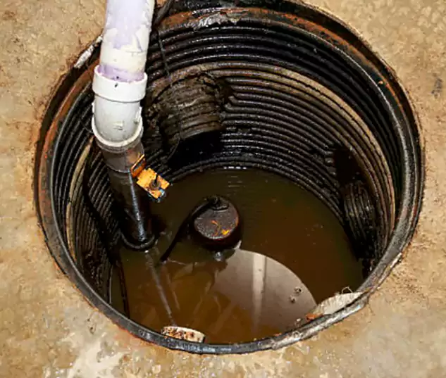 Meet Our Local Marion, IN Plumbing Team