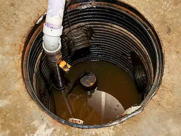 Why Marion Plumbing Pro is the First Choice for Sump Pump Maintenance Services in Marion, IN?