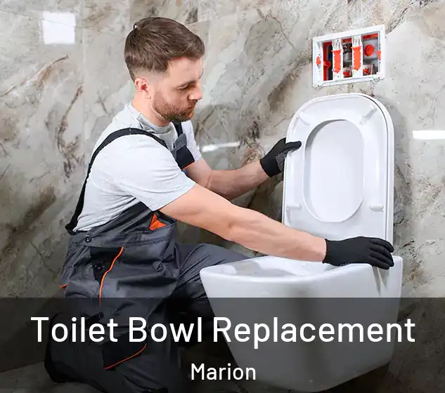  Toilet Bowl Replacement Marion