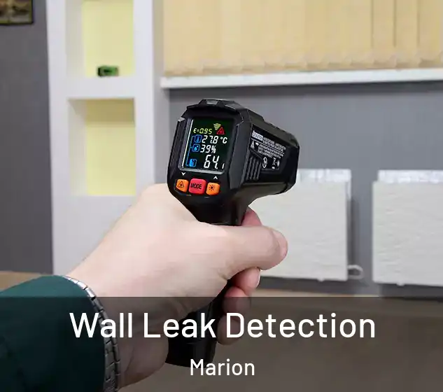  Wall Leak Detection Marion