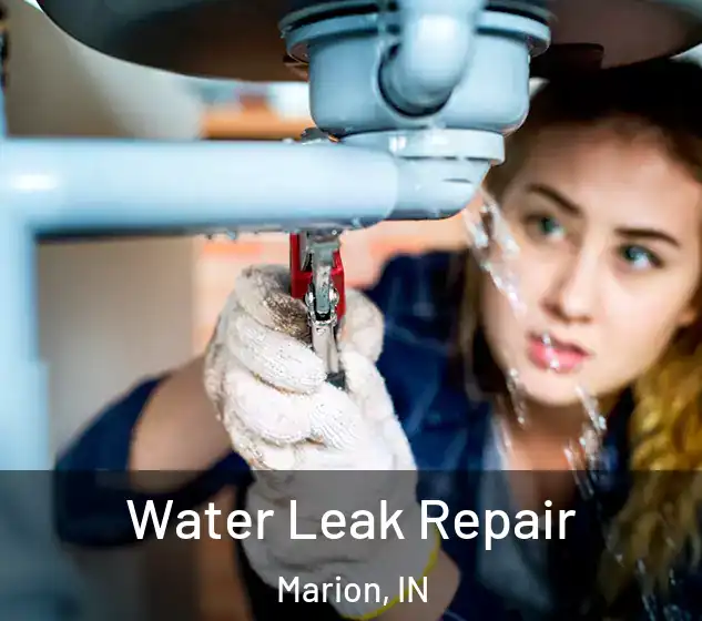  Water Leak Repair Marion, IN